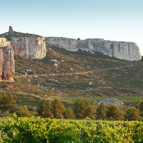 Châteauneuf-du-Pape rouge - Pierre Troupel